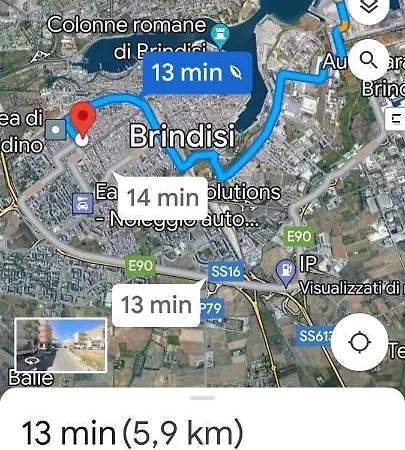 Olive Tree * Brindisi