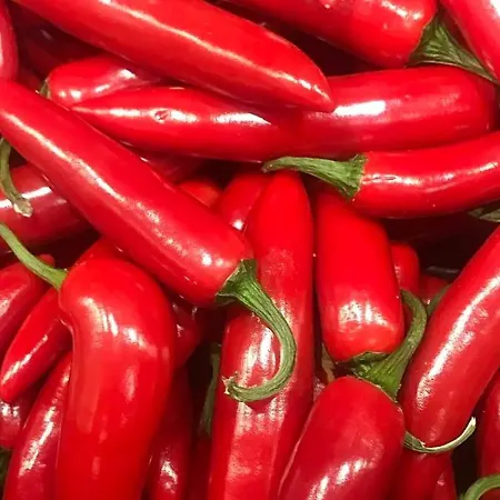 Olive Tree Lejlighed