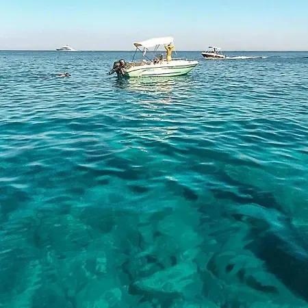 Olive Tree Lejlighed Brindisi