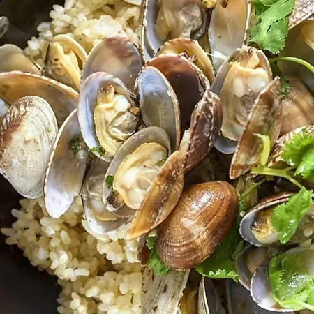 Olive Tree Apartamento